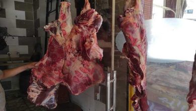 صورة تراجع أسعار اللحوم الحمراء بالأسواق اليوم الخميس (موقع رسمي)