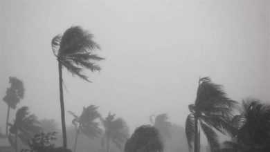 صورة أسامة قابيل: التزموا بالدعاء أثناء هبوب العواصف