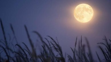 صورة لعشاق القمر.. موعد ظاهرة بدر الحصاد العملاق