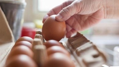 صورة كيف تكتشف البيض الفاسد قبل الطهي؟