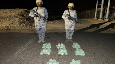 صورة حرس الحدود بجازان يحبط تهريب 52 كيلوغرام «قات»  أخبار السعودية