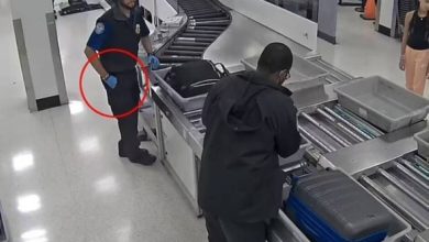 صورة فيديو يرصد عناصر الأمن في مطار ميامي خلال سرقة حقائب المسافرين  أخبار السعودية
