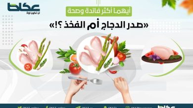 صورة أيهما أكثر فائدة وصحة.. صدر الدجاج أم الفخذ؟  أخبار السعودية