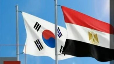صورة الإحصاء: 63% زيادة بقيمة التبادل التجاري بين مصر وكوريا الجنوبية 2022
