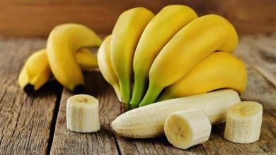 صورة خبر محزن.. هل سينقرض الموز من العالم قريبا؟