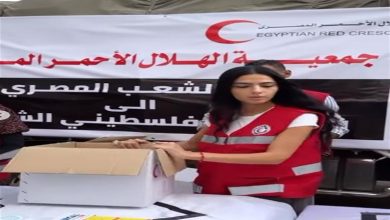صورة هدى المفتي تتطوع في الهلال الأحمر لتجهيز المواد الطبية لأهالي غزة