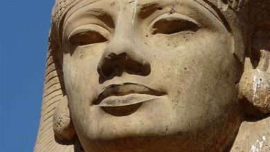 صورة مفاجأة تاريخية.. هل كانت ميريت أول فرعونة مصرية قبل 5000 سنة؟