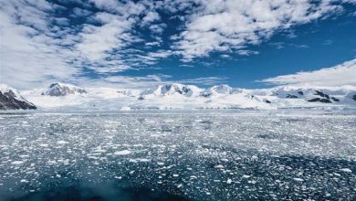 صورة فقدنا السيطرة.. جليد القطب الجنوبي سيختفي للأبد