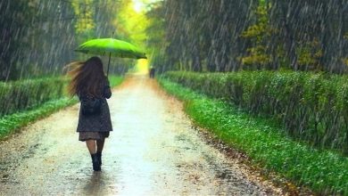 صورة هل هناك علاقة حقيقية بين التواجد في المطر والإصابة بنزلات البرد؟