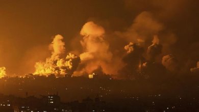 صورة السقا وكرارة وريهام حجاج…نجوم الفن يكثفون الدعاء بعد القصف البري لـ غزة