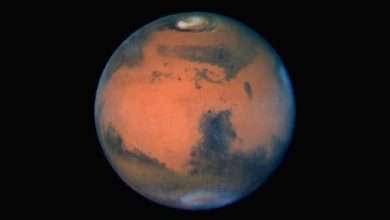 صورة 15 صورة من غرائب المريخ.. هل هناك كائنات فضائية؟