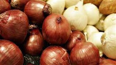 صورة تراجع البصل والملوخية.. أسعار الخضروات والفاكهة بسوق العبور اليوم الثلاثاء
