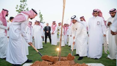 صورة برنامج «الرياض الخضراء».. 7 أحياء تم تشجيرها في الرياض.. بأكثر من 350 ألف شجرة  أخبار السعودية