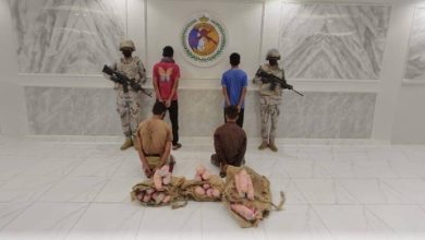 صورة جازان: القبض على 4 «مخالفين» لمحاولتهم تهريب 75 كيلوغراما من «القات»  أخبار السعودية