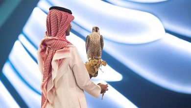 صورة بيع صقرين بـ 173 ألفاً في الليلة الـ 19 لمزاد نادي الصقور السعودي