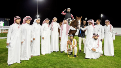 صورة "بريق الفوز" و"نايا" أبطال سباقات المزاد في الحفل الـ51 لموسم الطائف