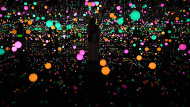 صورة “بريليانس أوف ذي سولز”.. تركيب فني مبهر لفنانة يابانية وسط أحياء العُلا