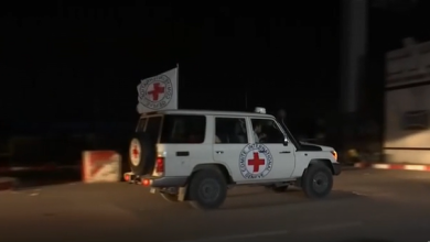 صورة بالفيديو.. سيارات الصليب الأحمر تنقل الرهائن المفرج عنهم لمصر