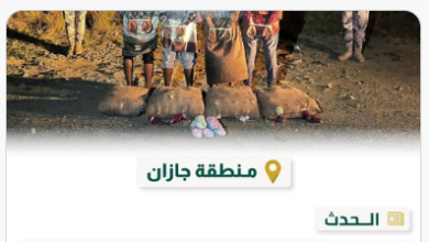 صورة حرس الحدود بجازان يقبض على 4 مخالفين لنظام أمن الحدود لمحاولتهم تهريب 60 كيلو من نبات القات المخدر