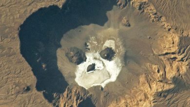 صورة صورة.. جمجمة هائلة الحجم في قلب صحراء أفريقيا