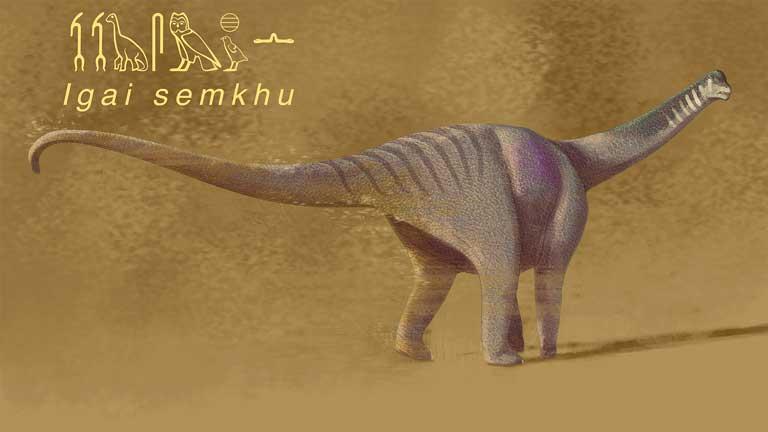 إيجاي سيمخو.. سيد الواحة الذي عاش في مصر قبل 75 مليون سنة