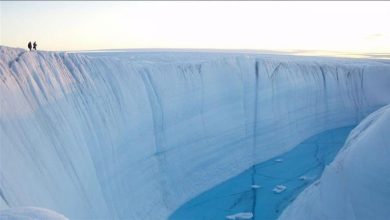 صورة جرس إنذار.. جليد جرينلاند يواصل الذوبان والمدن الكبرى في خطر