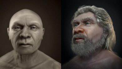صورة صورة مذهلة لرجل عاش قبل 56 ألف سنة: لم يكن وحشا أو قردا