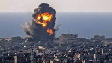 صورة استشهاد 8,805 فلسطينيين خلال العدوان المستمر على قطاع غزة  أخبار السعودية