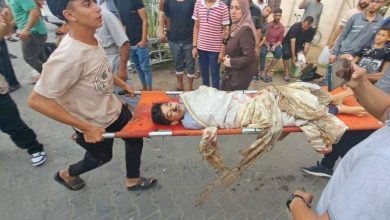 صورة حقوقي مصري لـ«عكاظ»: المجازر في غزة تجرد المجتمع الدولي من إنسانيته  أخبار السعودية