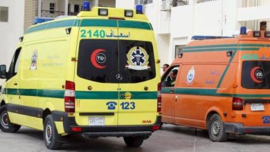 صورة وفاة وإصابة 23 طالباً دهستهم سيارة أمام مدرسة في مصر  أخبار السعودية