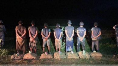صورة القبض على 7 «مخالفين» في جازان لمحاولتهم تهريب 143 كيلوغراما من «القات»  أخبار السعودية