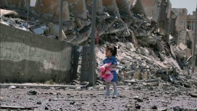 صورة غزة أصبحت مقبرة لآلاف الأطفال ويجب وقف القتل فورًا