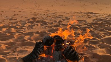 صورة الكثبان الرملية من مكونات الغطاء النباتي التي يحظر فيها إشعال النار