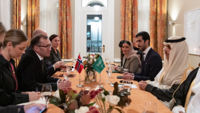 صورة وزير الخارجية يبحث مع نظيره النرويجي تطورات الأوضاع في غزة