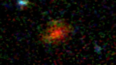 صورة صورة مبهرة من جيمس ويب.. اكتشاف مجرة من فجر الكون