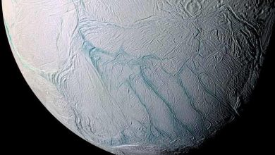 صورة أكبر دليل على وجود حياة خارج الأرض: سر القمر إنسيلادوس
