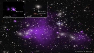 صورة صورة.. جيمس ويب يكتشف أقدم ثقب أسود في الكون: وحش عمره 13 مليار سنة