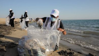 صورة انطلاق الحملة التطوعية لحماية البيئة البحرية بجدة  أخبار السعودية
