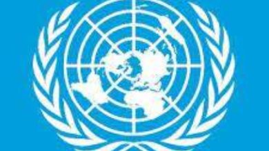 صورة الأمم المتحدة: المملكة دفعت بثقلها التاريخي والدبلوماسي لإيجاد حل سياسي للصراع في غزة  أخبار السعودية