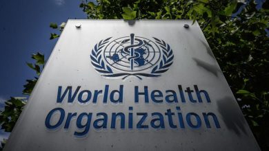 صورة «الصحة العالمية» تحذر من جدري القردة بالكونغو: وباء قد ينتشر دوليًا مع تسارع انتقال العدوى
