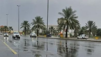 صورة «الأرصاد» عن طقس السبت: أمطار رعدية ورياح نشطة عدة مناطق