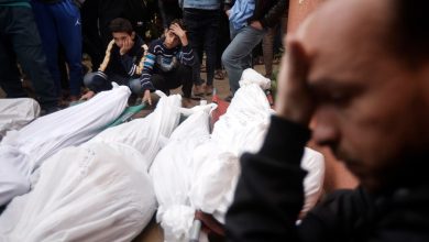 صورة الحكومة الفلسطينية تدعو لتحقيق دولي عاجل بشأن قيام جيش الاحتلال بدفن مصابين أحياء