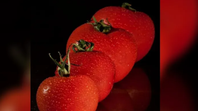 صورة دراسة حديثة تشير إلى فوائد الطماطم في تقليل خطر الإصابة بارتفاع ضغط الدم