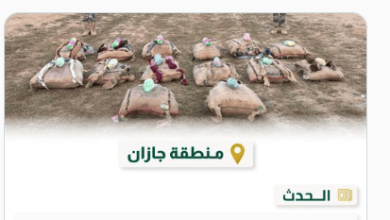 صورة حرس الحدود بجازان يحبط تهريب 240 كيلوجرامًا من نبات القات المخدر