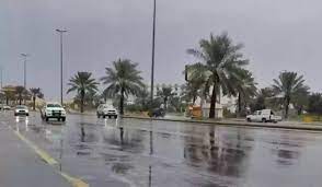 صورة حالة الطقس فى المملكة.. سماء غائمة وضباب كثيف على عدد من المناطق