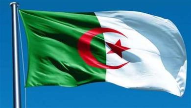 صورة قبل إنطلاق مباراة الجزائر وأنجولا.. إلى ماذا ترمز ألوان علم الجزائر