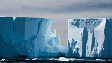 صورة بالصور.. أقدم وأضخم وحوش العالم الجليدية يتحرك ويقترب من نهايته