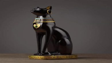 صورة لماذا كانت القطط مقدسة عند المصريون القدماء؟ – اعرف السر