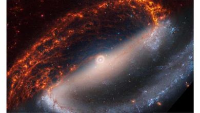 صورة 19 صورة عبقرية من جيمس ويب.. مجرات حلزونية ومصانع للنجوم
