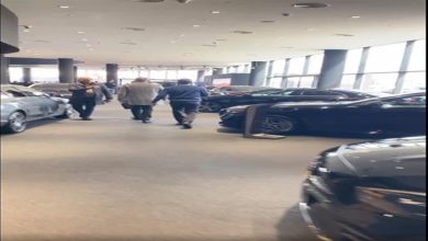 صورة افتتاح أكبر صالة عرض لسيارات مرسيدس بنز في مصر.. فيديو وصور